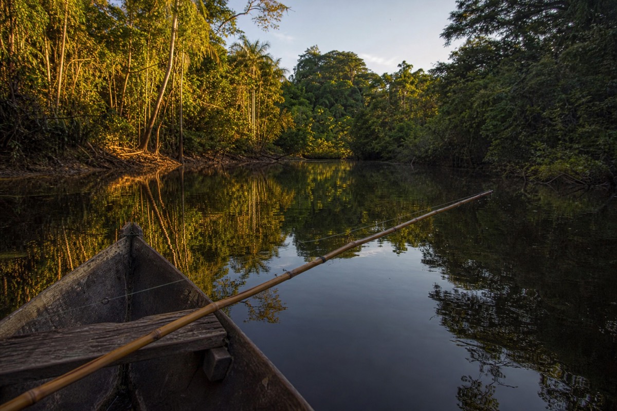 Piranha fishing from a canoe on an Amazon tributary