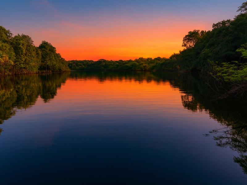 Amazon Jungle Tour: Multi-Day Survival Trip with Camping from Manaus