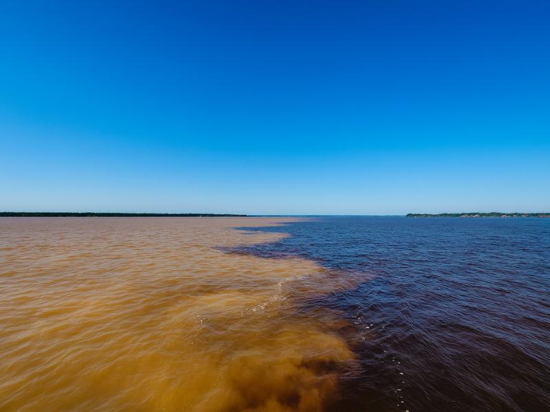 Meeting of the Waters & Pink Dolphin Tour with Lunch